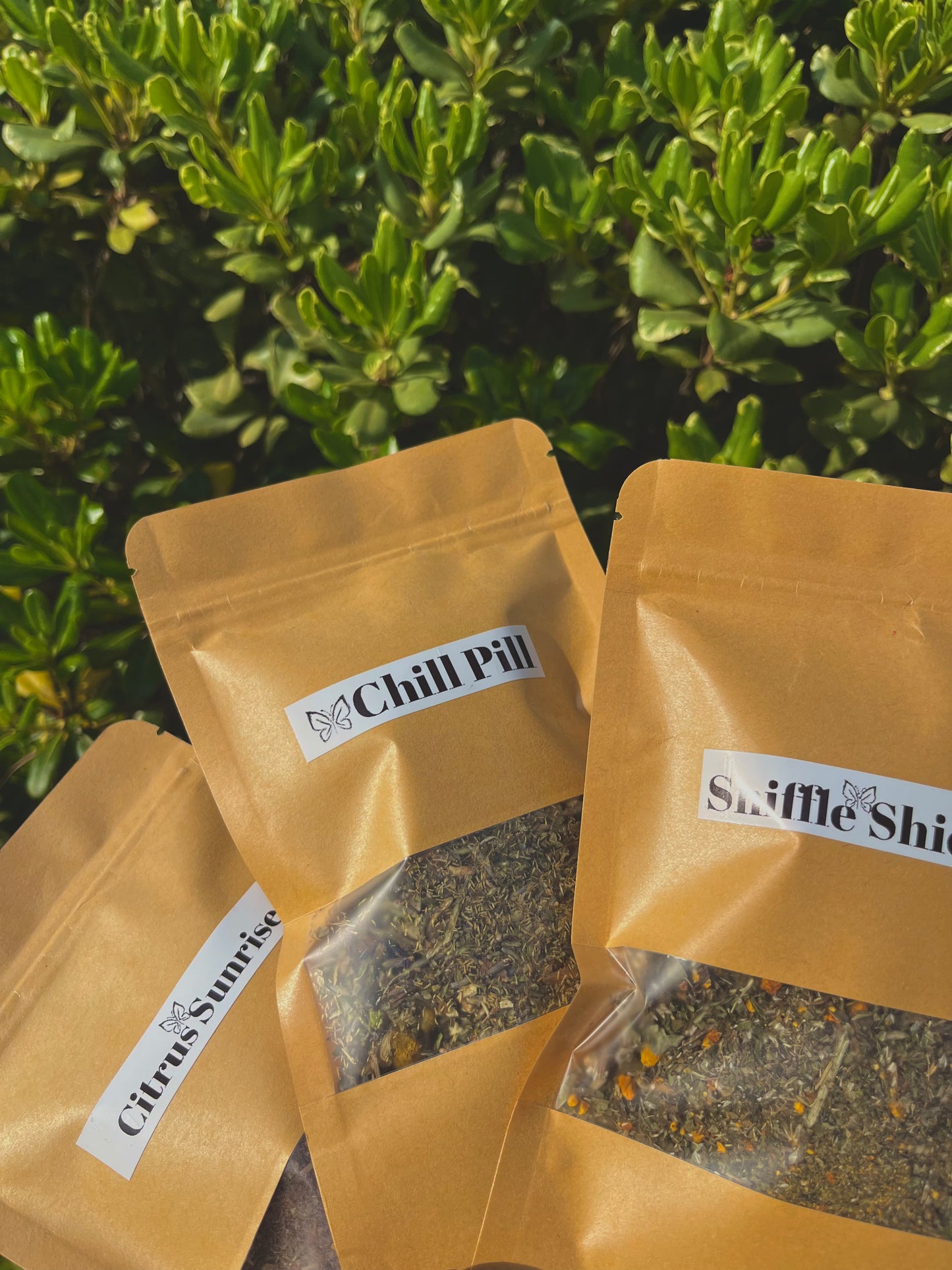 Sip of the Season Spring Bundle